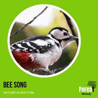 Bee Song - Nature in Rhythm