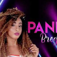 BANDA PANK BREGA