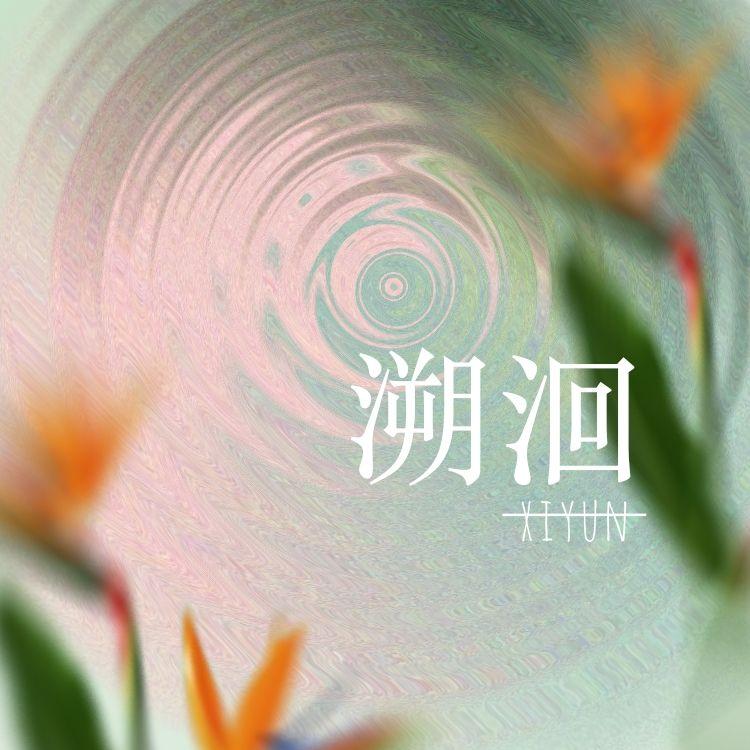 溯洄封面
