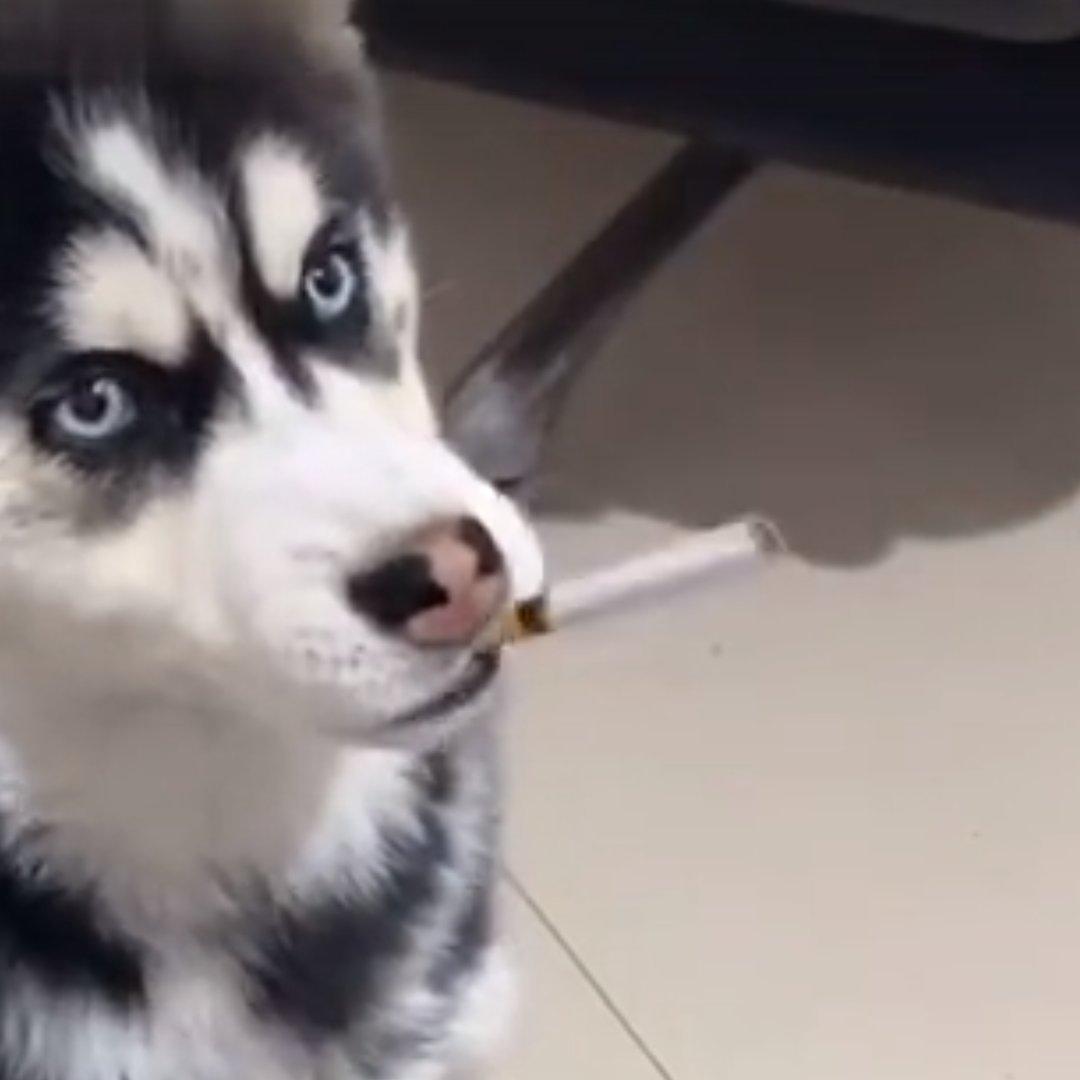 Various Artists-Boomerang（G3 remix）