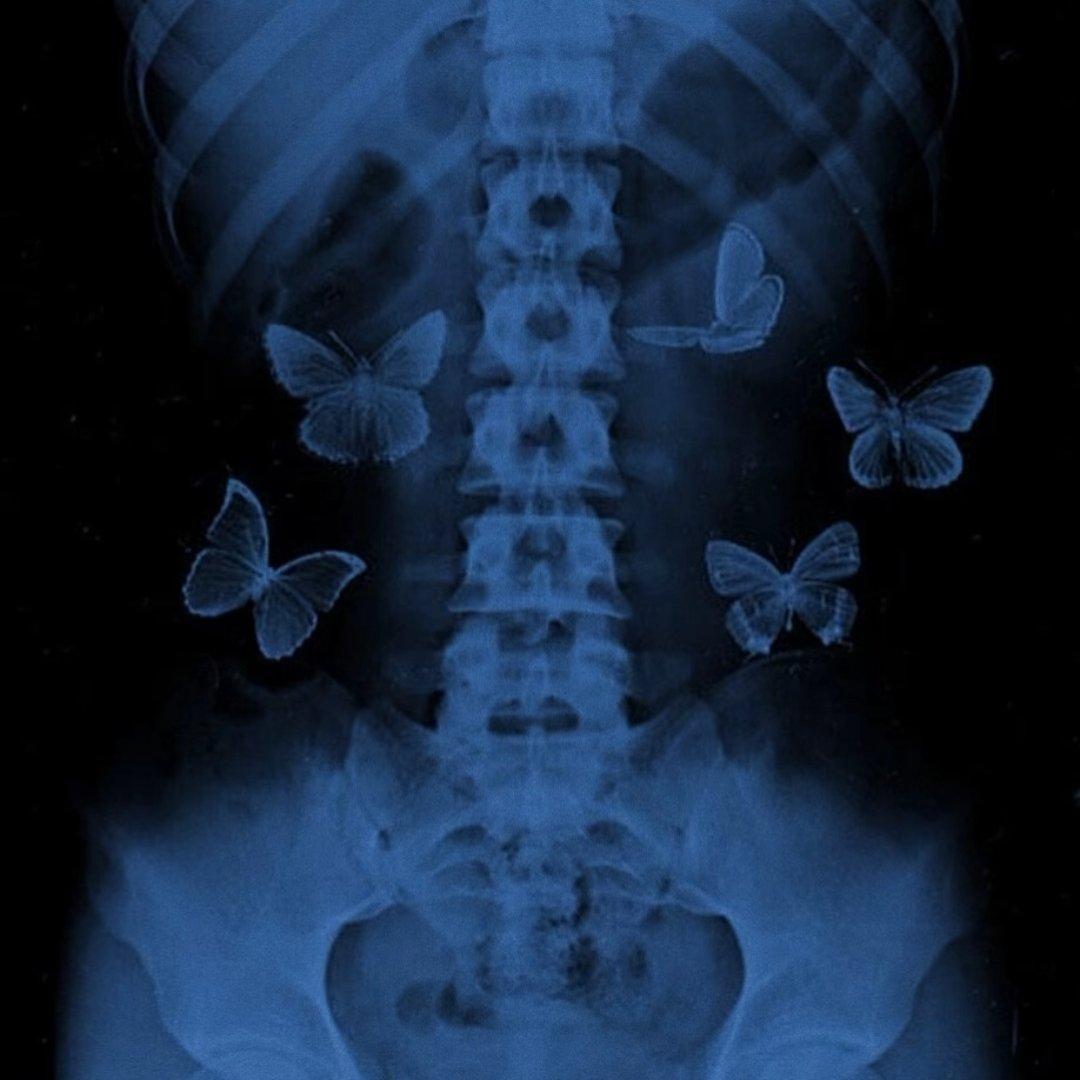 曲风不限量：欧美音乐盲盒