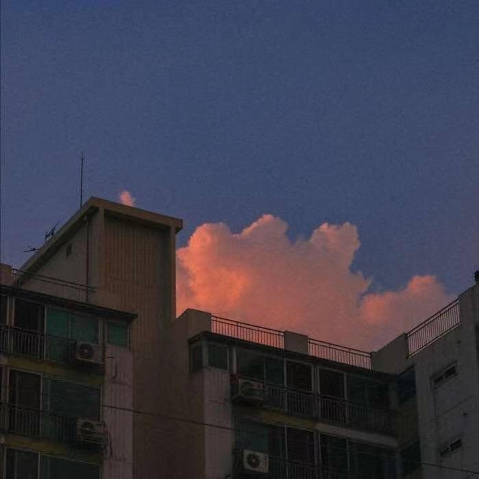 还是说了再见封面