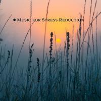 Music for Stress Reduction (Soothing Soundscape, Nature Serenity, Calming New Age Music)