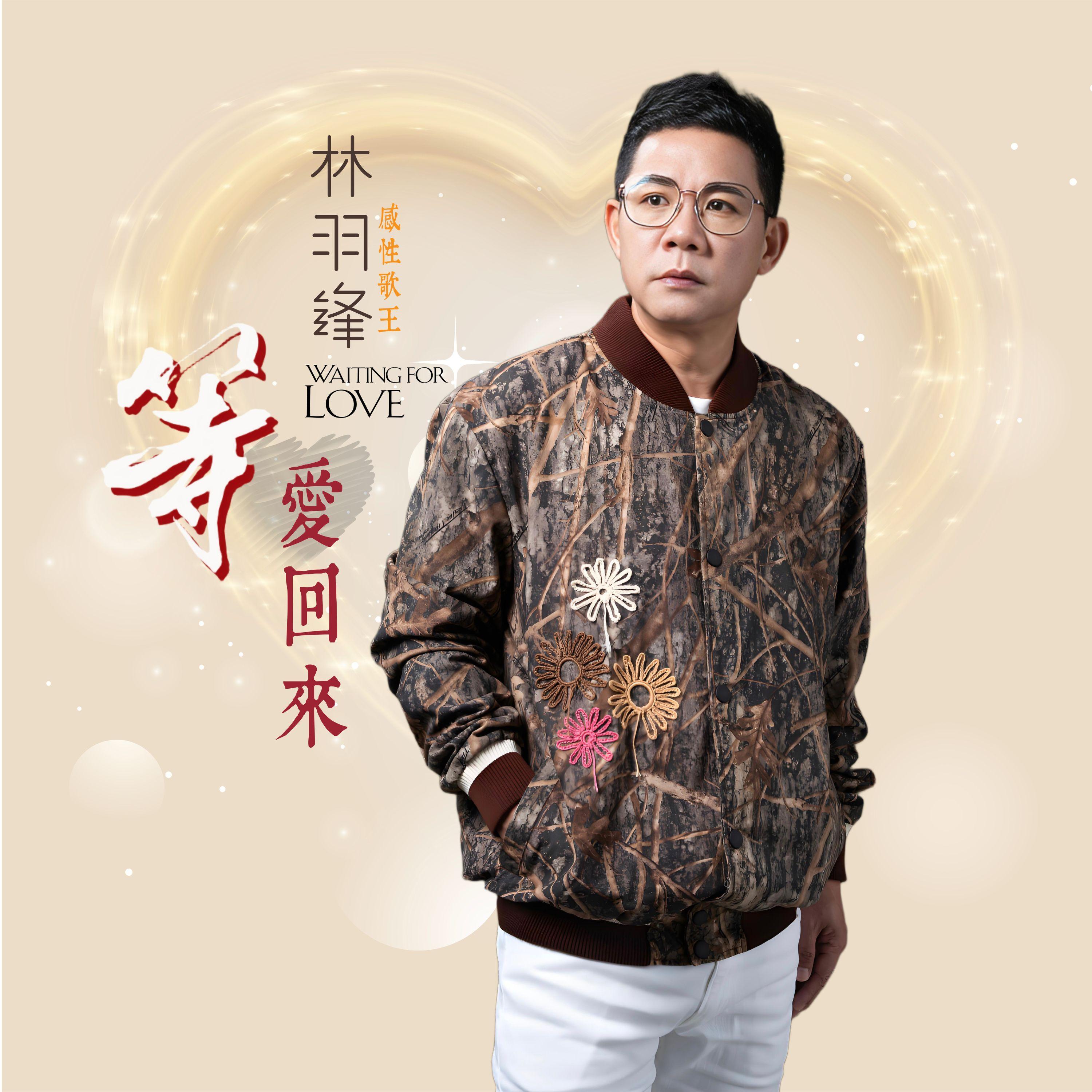 愛人叨位去 (闽南语)封面
