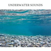 Underwater Sounds