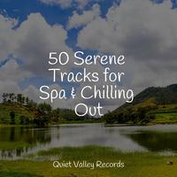 50 Serene Tracks for Spa & Chilling Out