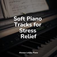 Soft Piano Tracks for Stress Relief