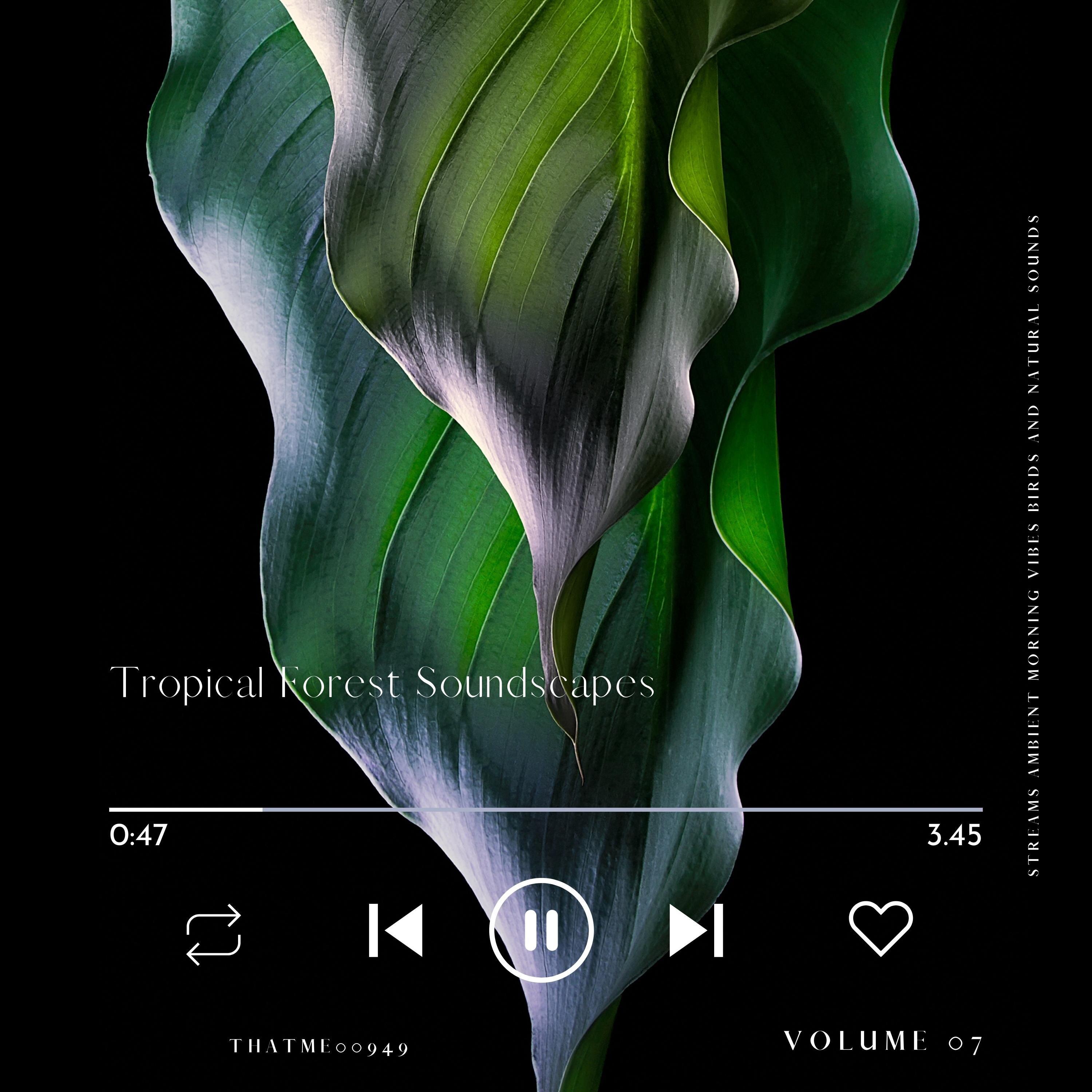 Mellow Tropical Forest Sounds in Solitude, Pt. 73_Ambiworld_Tropical Forest Soundscapes - Streams Ambient Morning Vibes Birds and Natural Sounds, Vol. 07 | 在线播放_Mellow Tropical Forest Sounds in Solitude, Pt. 73歌词_Mellow Tropical Forest Sounds in Solitude, Pt. 73下载 | 网易云音乐