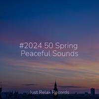 #2024 50 Spring Peaceful Sounds