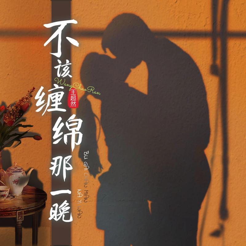 不该缠绵那一晚封面