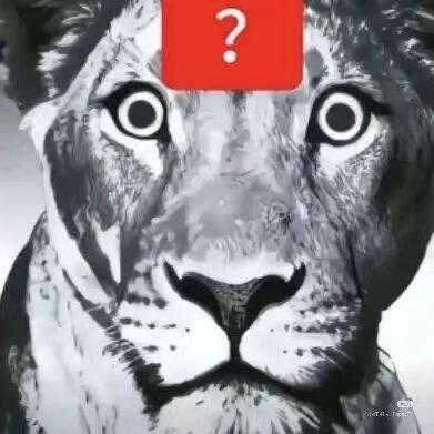 抽象猎奇无敌雷霆大爆歌