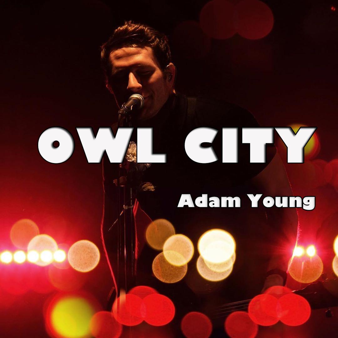 Owl City丨一座属于猫头鹰的梦幻之城