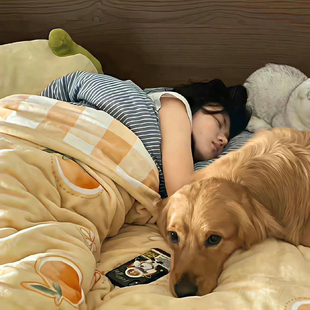 赖床三部曲 | 手机、棉被和慵懒旋律