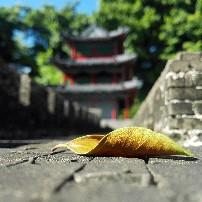 一叶扁舟又何妨