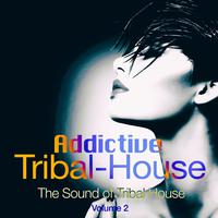 Addictive Tribal House, Vol. 2