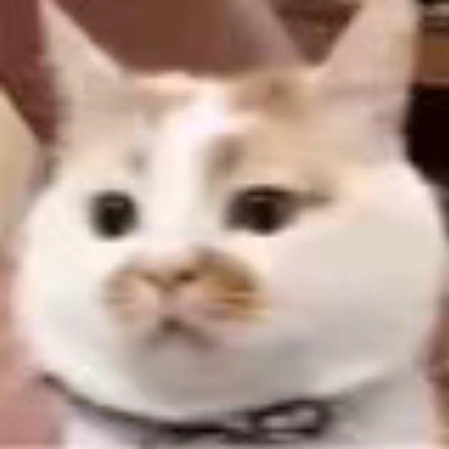 你别闹了我腰不行