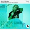 Hanne Mjøen - Sounds Good To Me (RetroVision Remix)