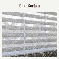 Blind Curtain