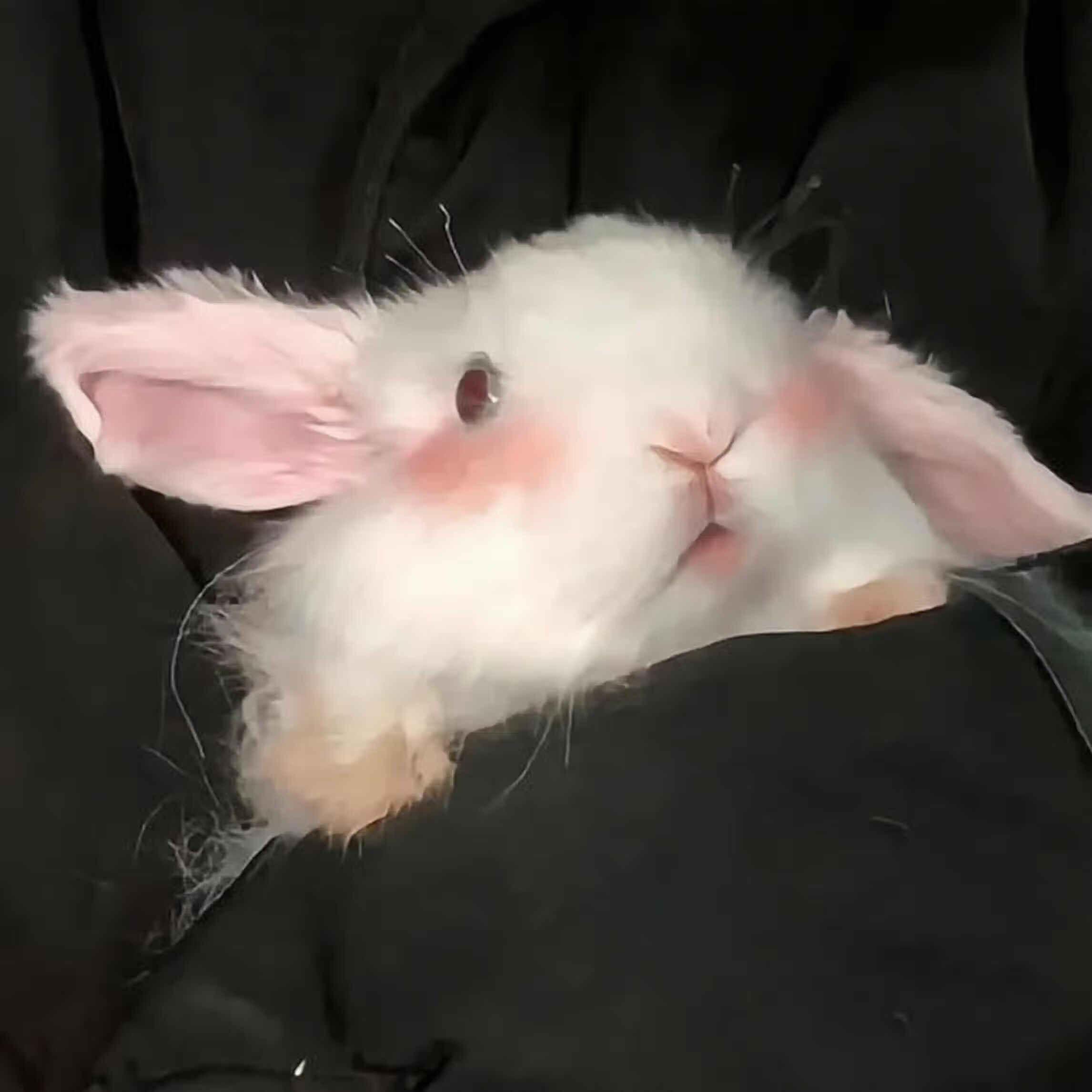 Promise(原曲PastLives)