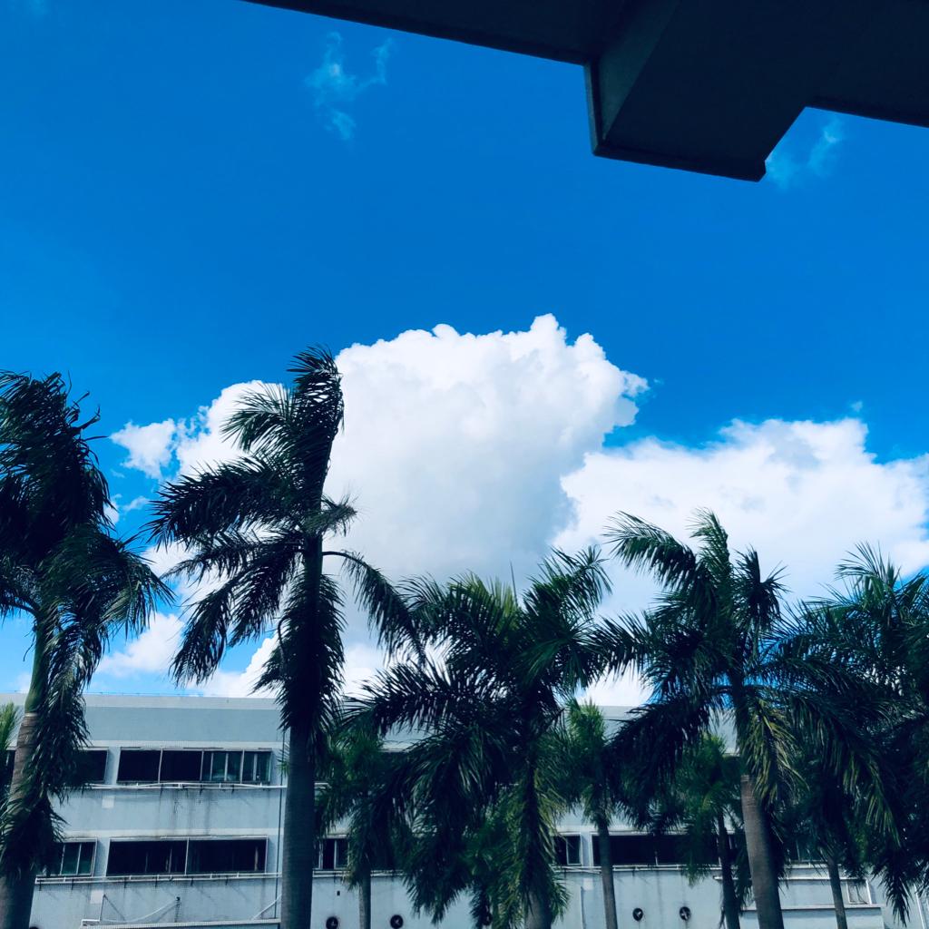 小马云的粤语歌