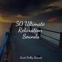 50 Ultimate Relaxation Sounds