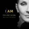 Céline Dion - Love Again