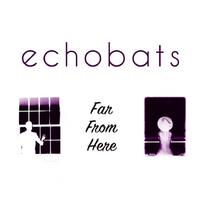 Echobats