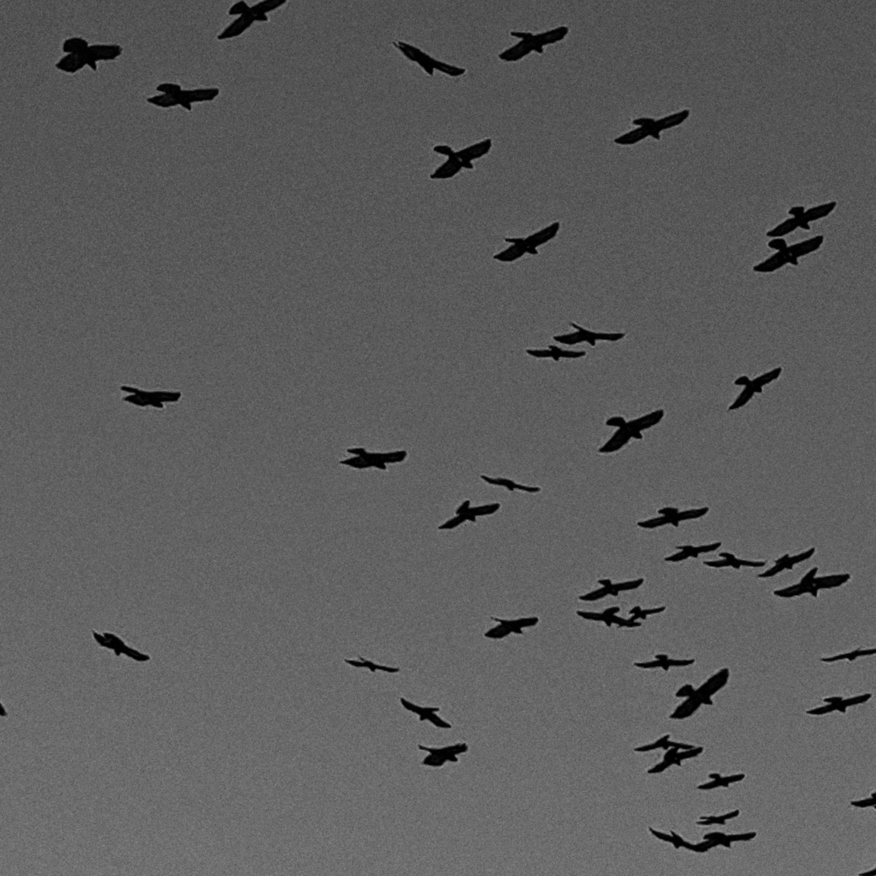 i didn't want you to leave