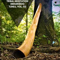 Tribal Meditation Didgeridoo Tunes, Vol. 03