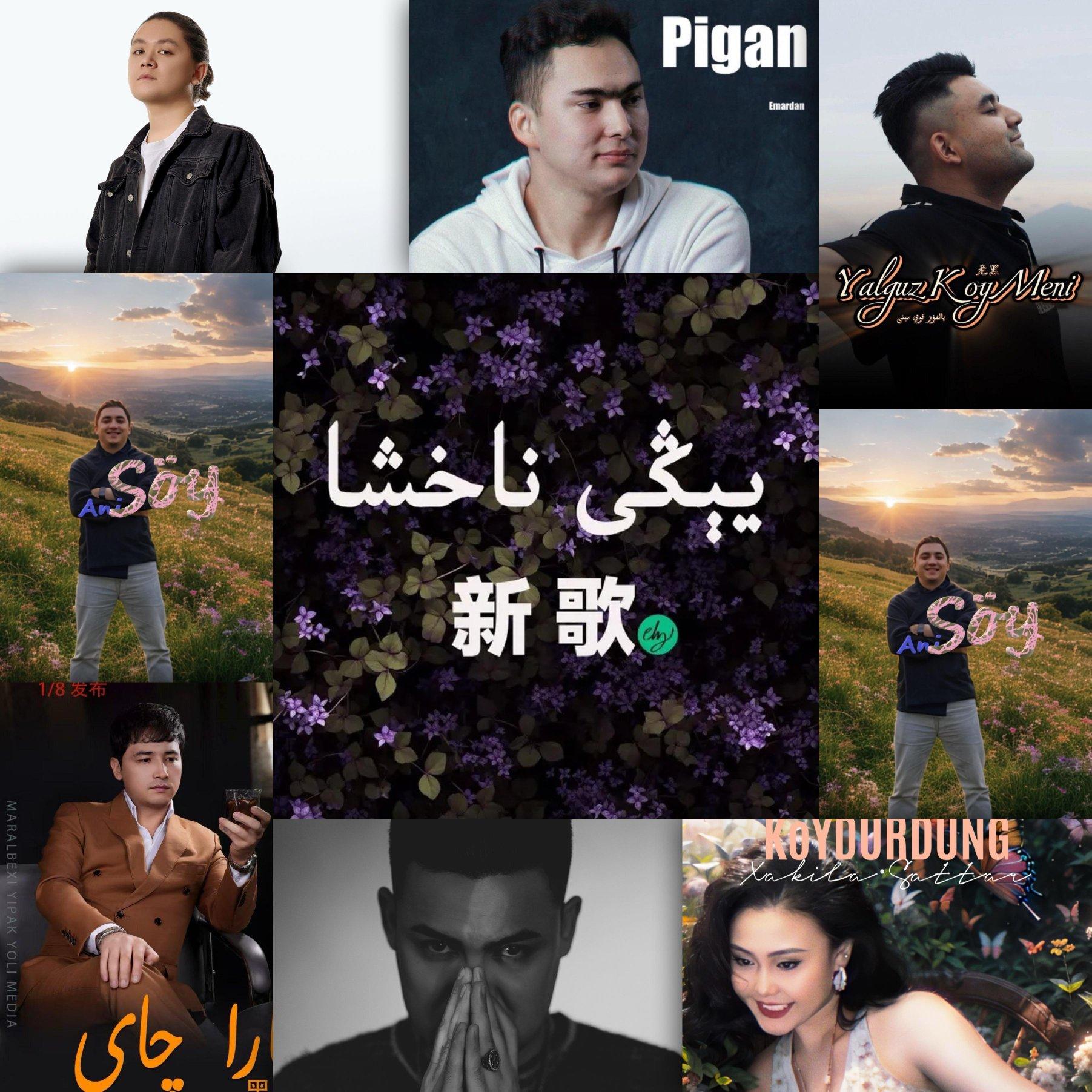 2025全网最火歌曲全集推荐：伊哥