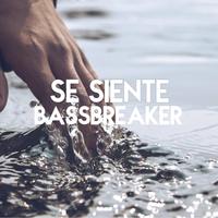 Se Siente (Instrumental)