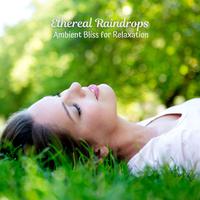 Ethereal Raindrops: Ambient Bliss for Relaxation