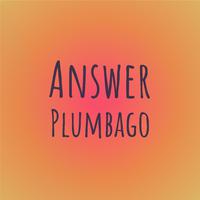 Answer Plumbago