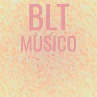 Blt Musico