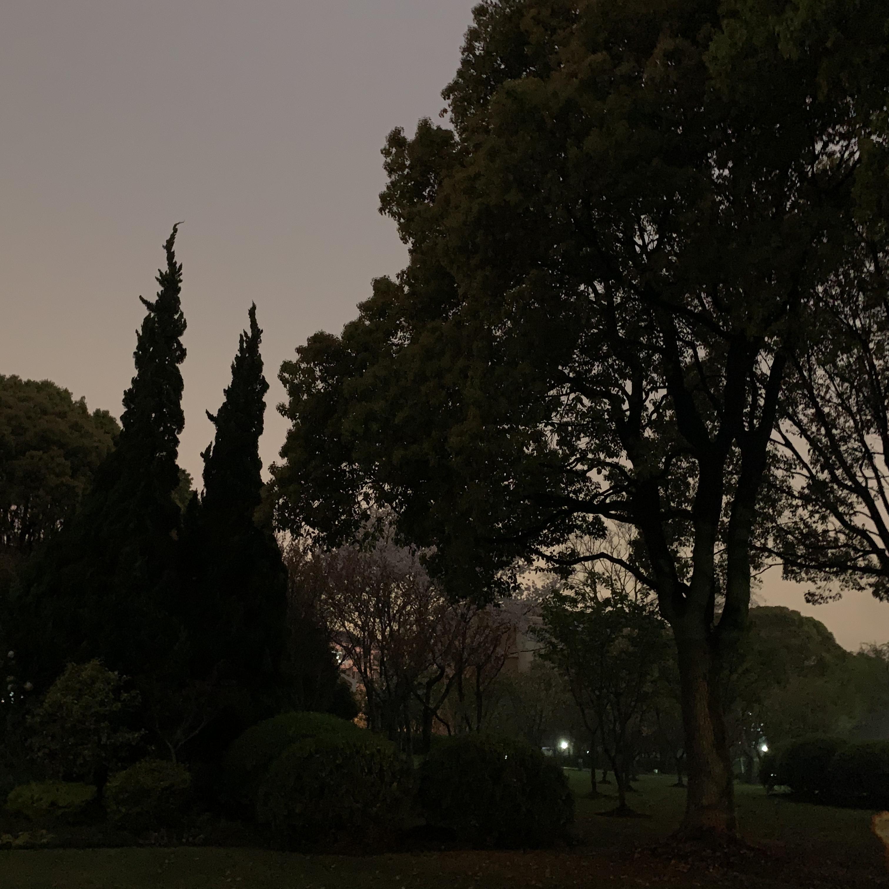 Crucial.(Prod by Boyfifty)