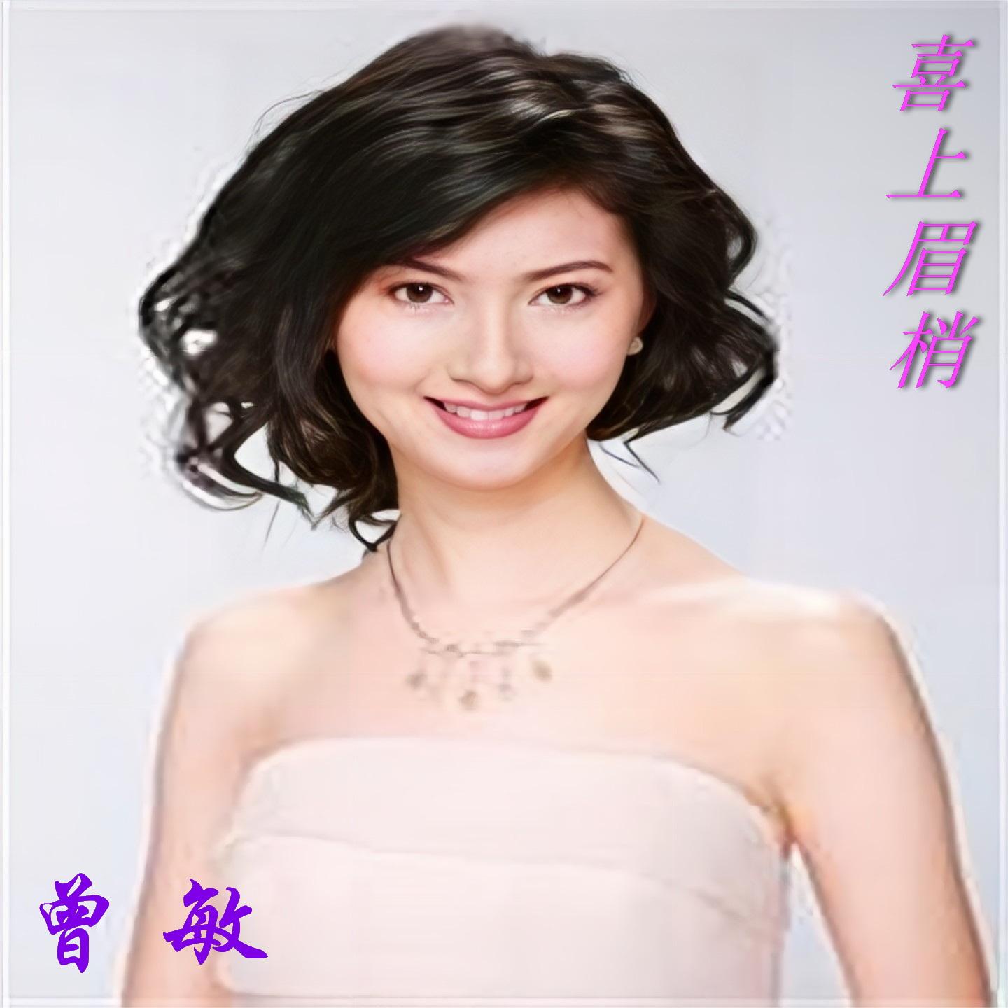 心中的太阳月亮封面