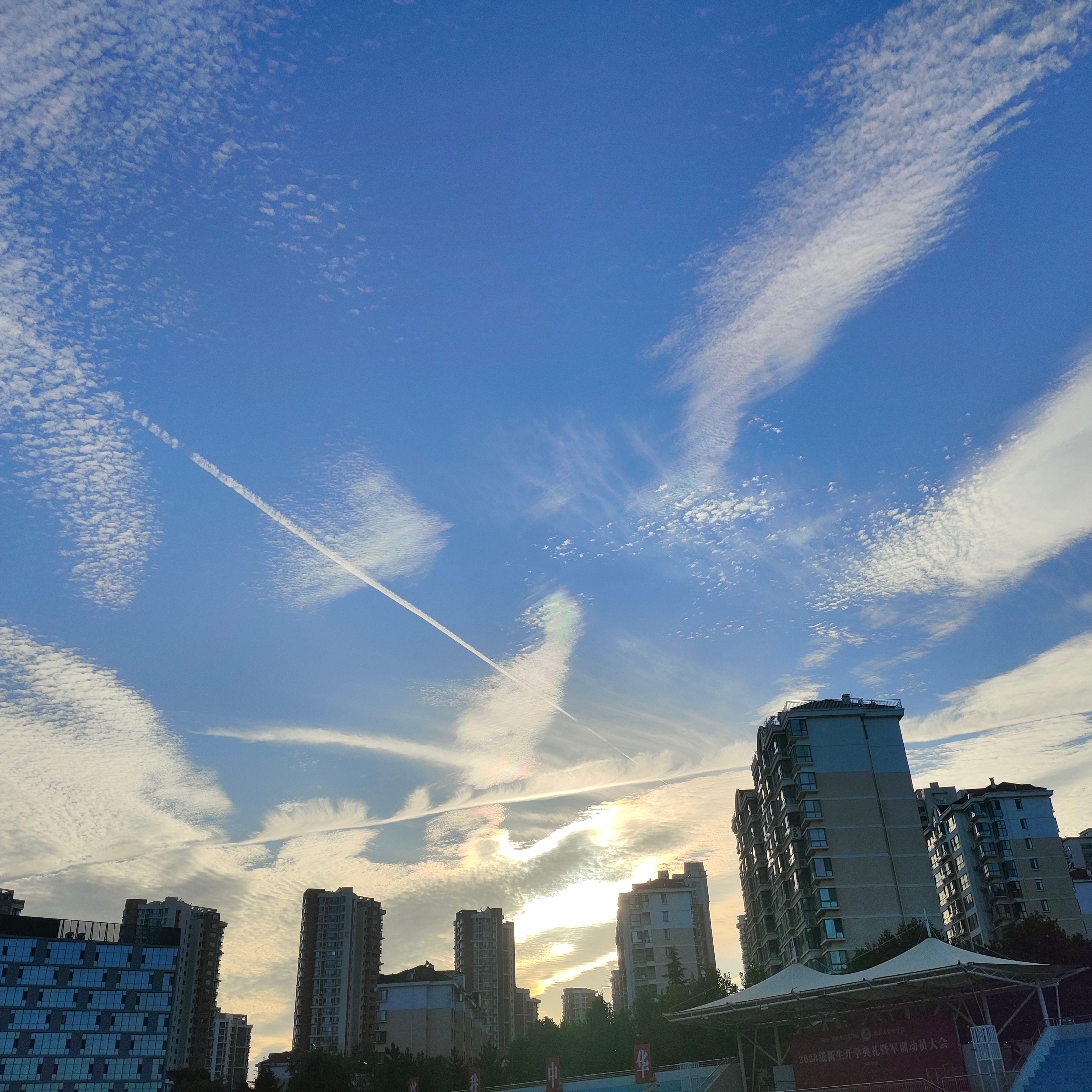 I . I . I G R O K（洛天依V3）