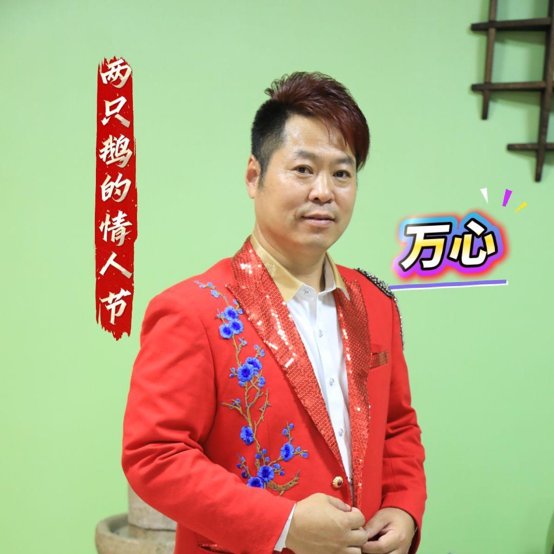 两只鹅的情人节封面