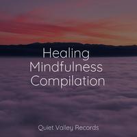 Healing Mindfulness Compilation