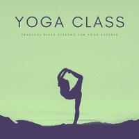 Yoga Class: Peaceful River Streams For Yoga Experts