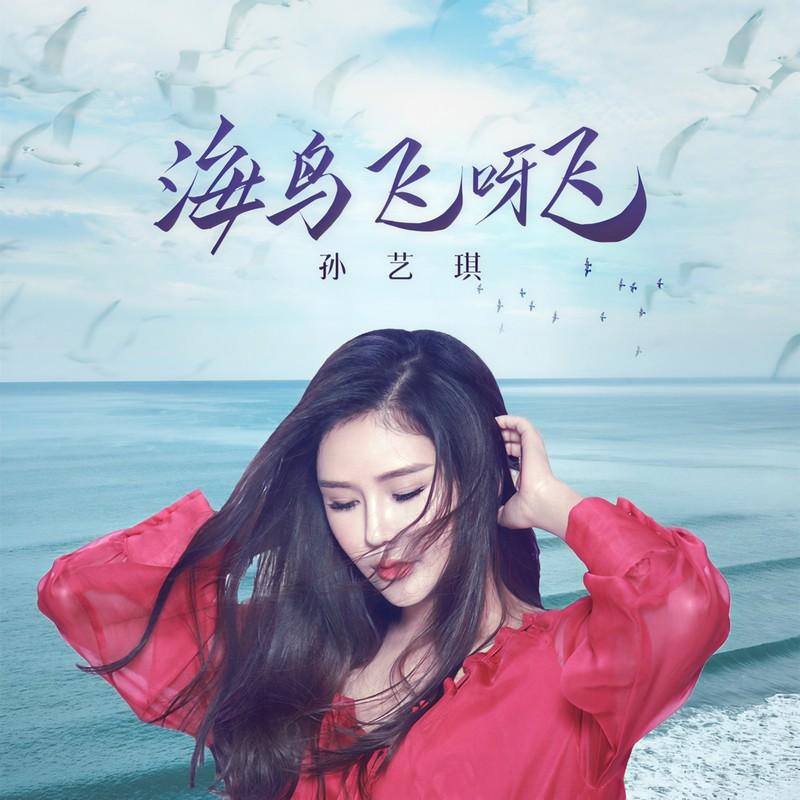 海鸟飞呀飞封面