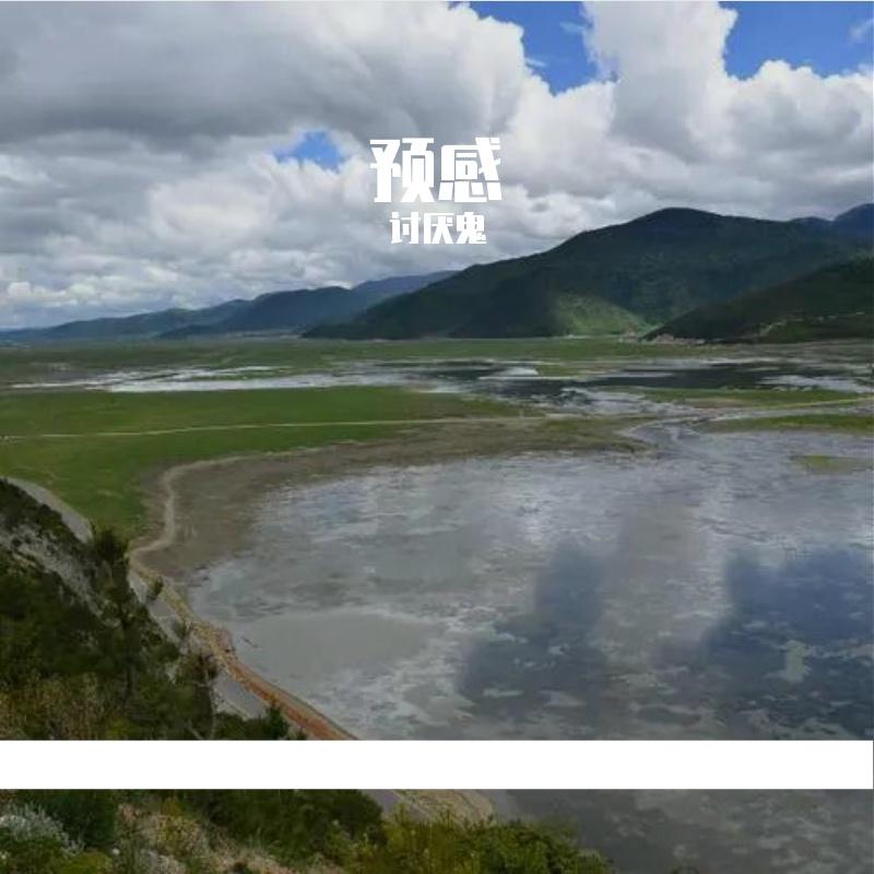 预感 伴奏封面
