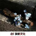 不跟谁 斗苦斗累封面