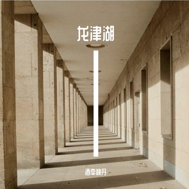 翱翔天空封面
