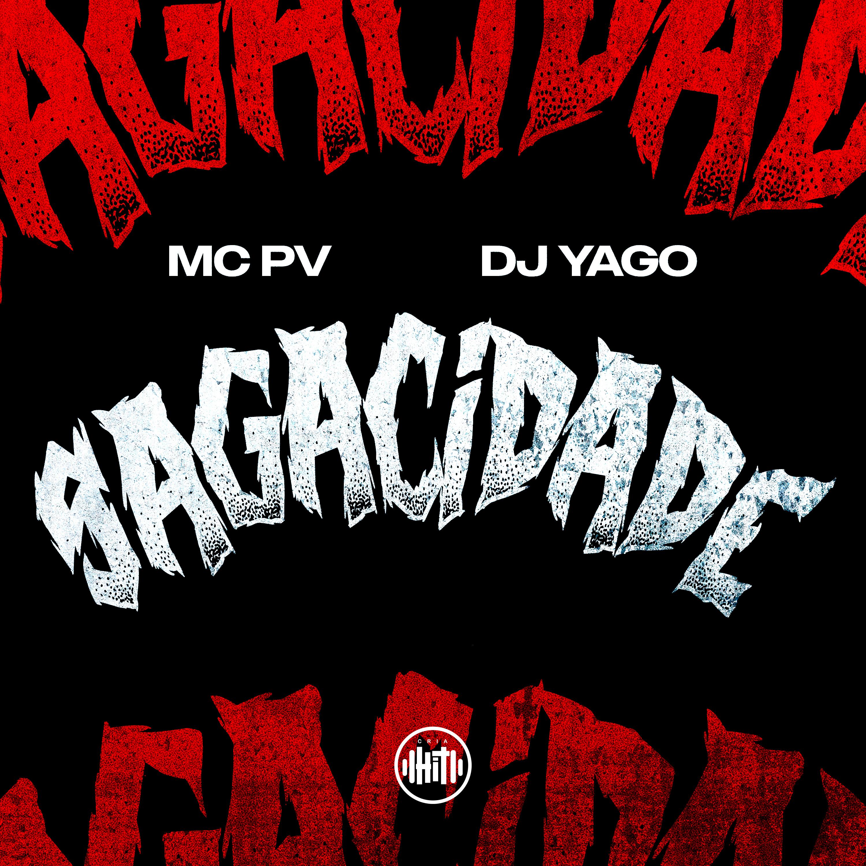Sagacidade