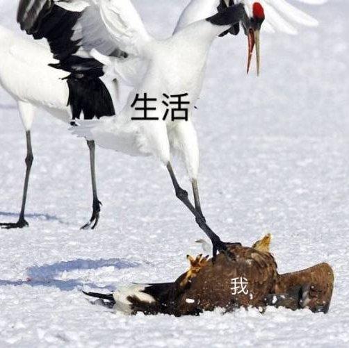 空调房里的卡夫卡