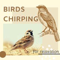 Birds Chirping for Relaxation CD