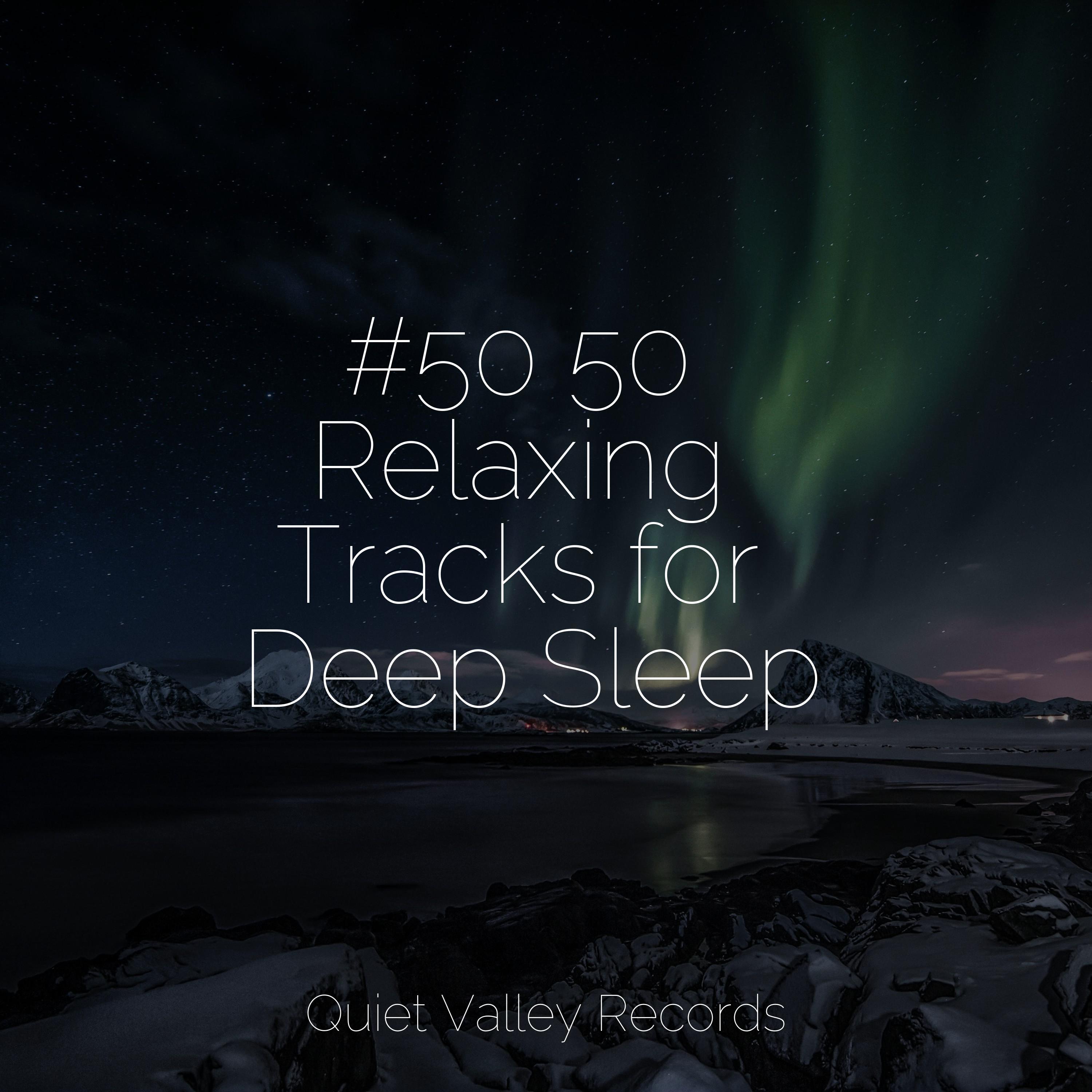 50 50 Relaxing Tracks for Deep Sleep Rain Drops for Sleep 专辑 网易云音乐