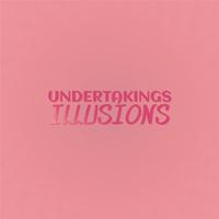 Undertakings Illusions