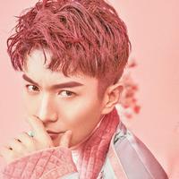 瑞洋RayYoung